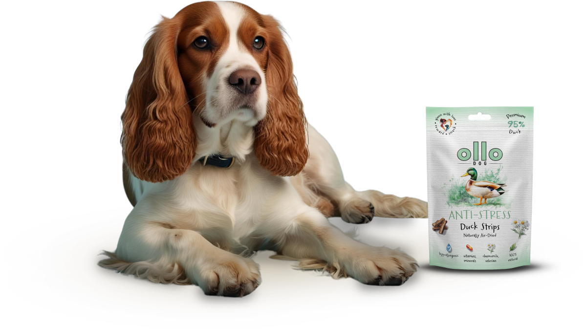 Ollo Air-Dried Anti-Stress Duck Strips-dog