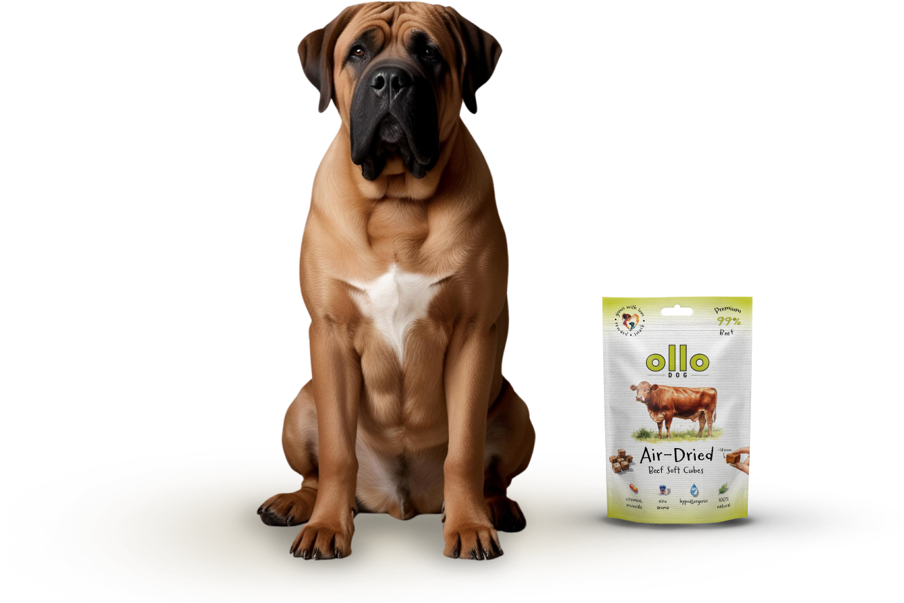Ollo Air-Dried Beef Soft Cubes-dog