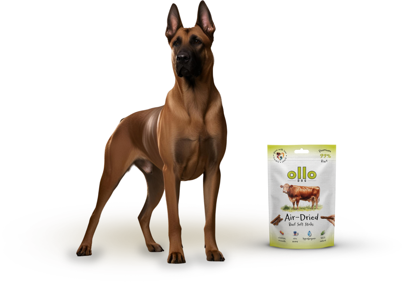 Ollo Air-Dried Beef Soft Sticks-dog