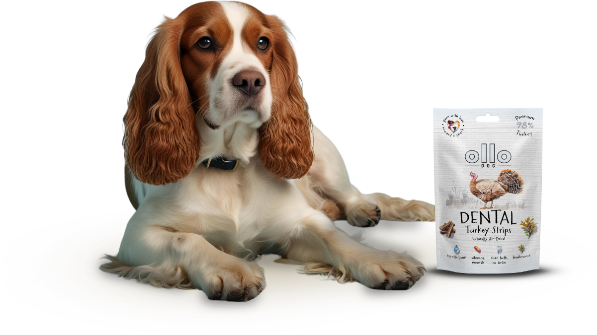 Ollo Air-Dried Dental Turkey Strips-dog