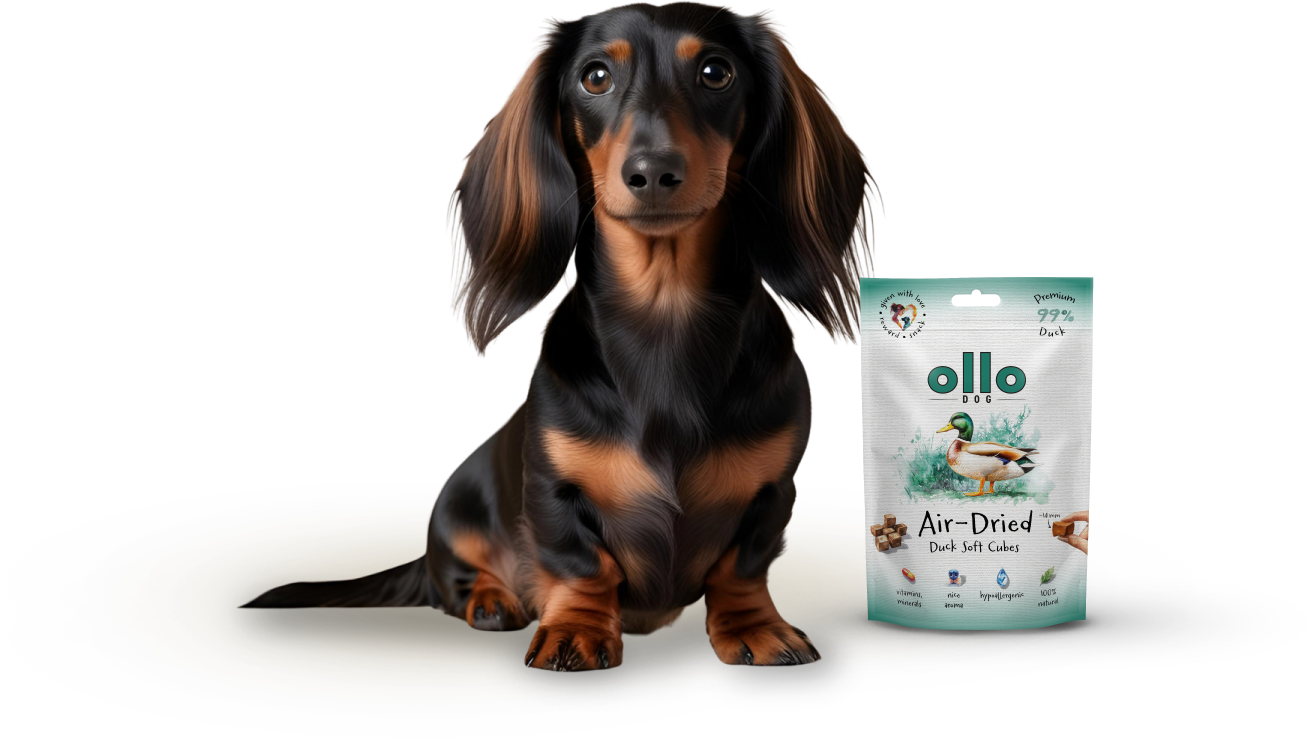 Ollo Air-Dried Duck Soft Cubes-dog