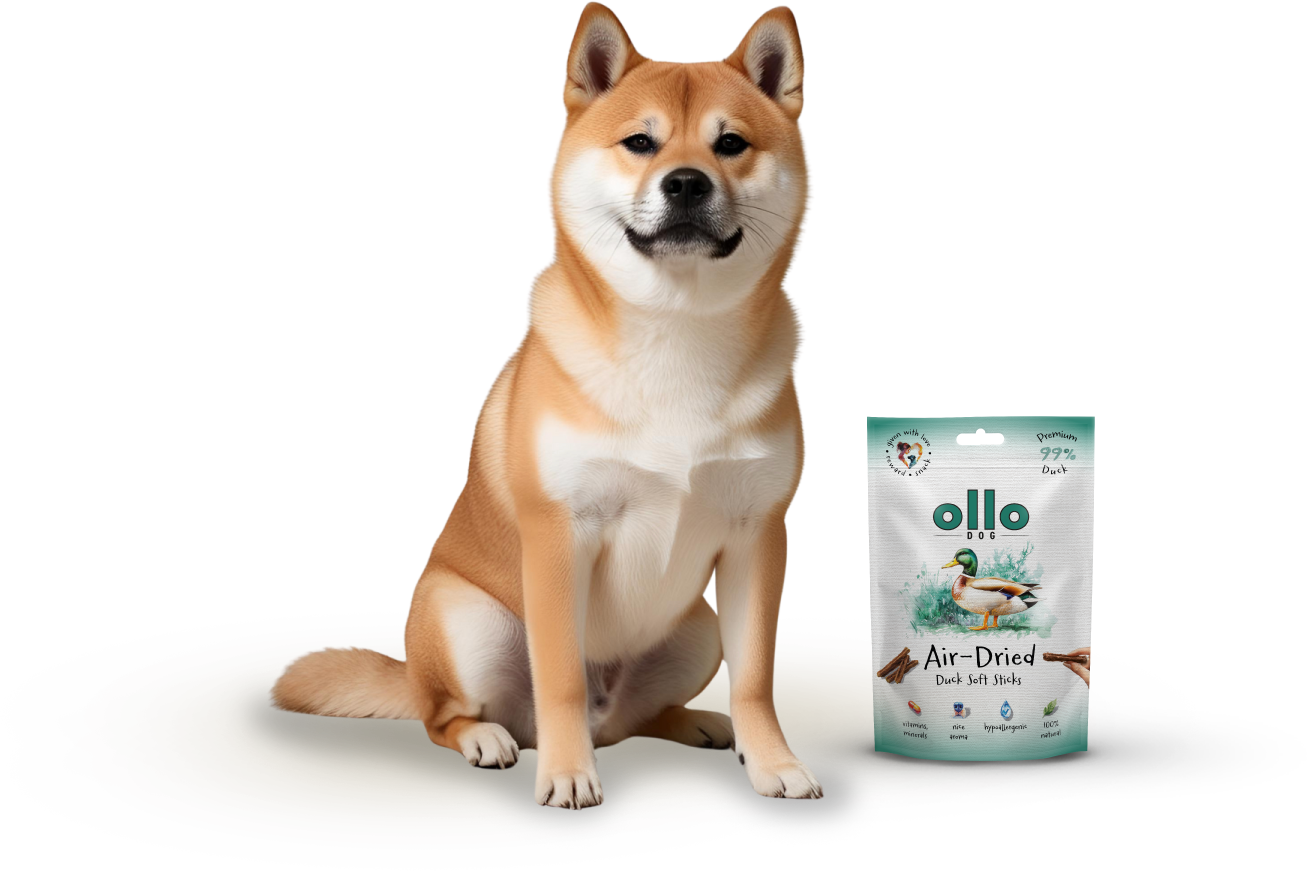 Ollo Air-Dried Duck Soft Sticks-dog