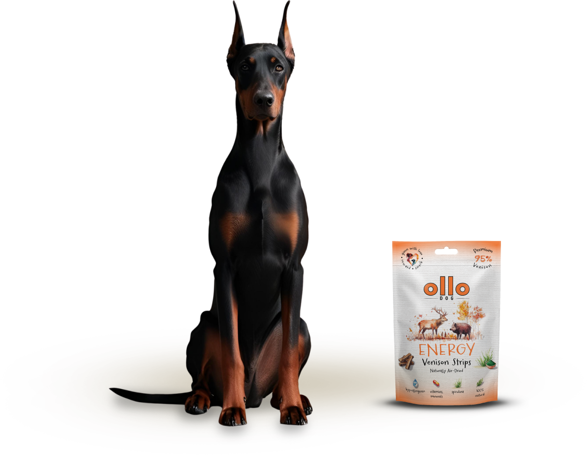 Ollo Air-Dried Energy Venision Strips-dog