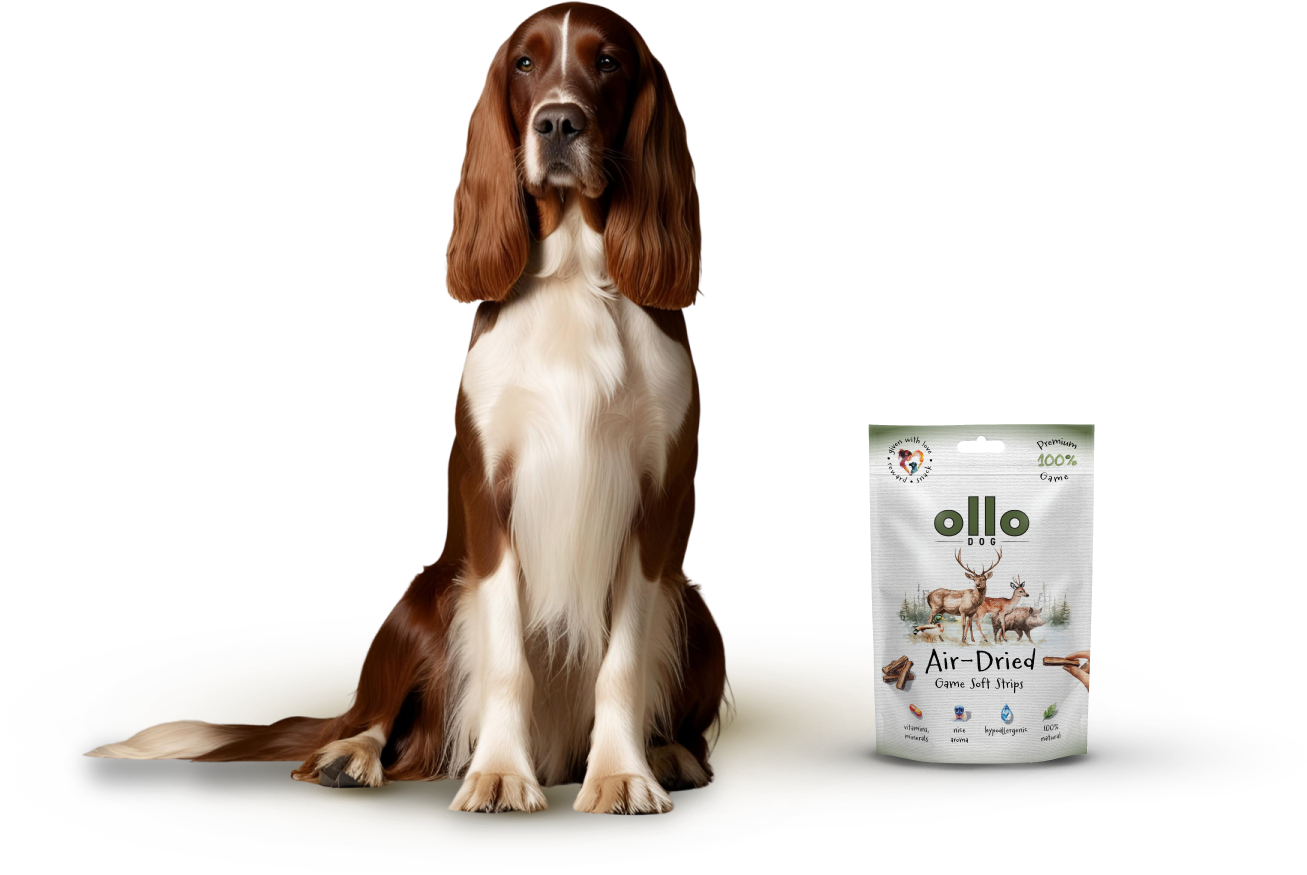 Ollo Air-Dried Game Strips-dog