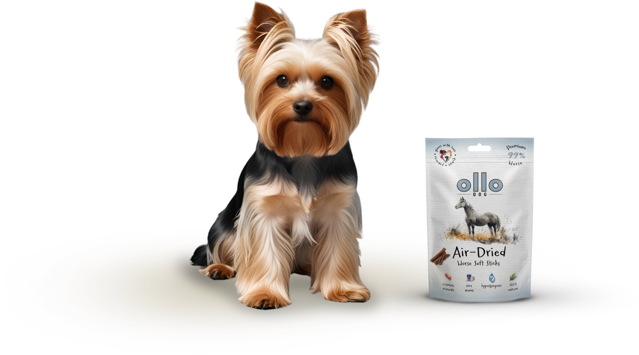 Ollo Air-Dried Horse Soft Sticks-dog