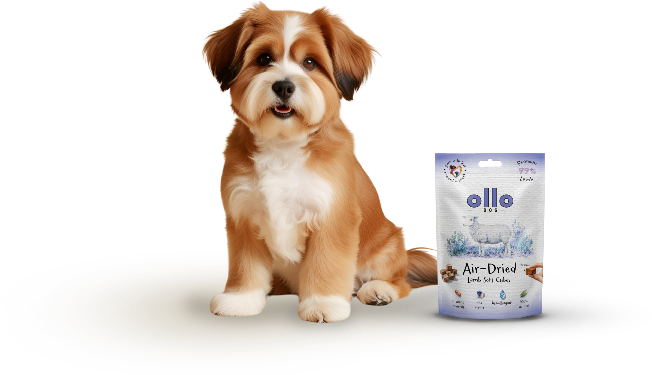 Ollo Air-Dried Lamb Soft Cubes-dog