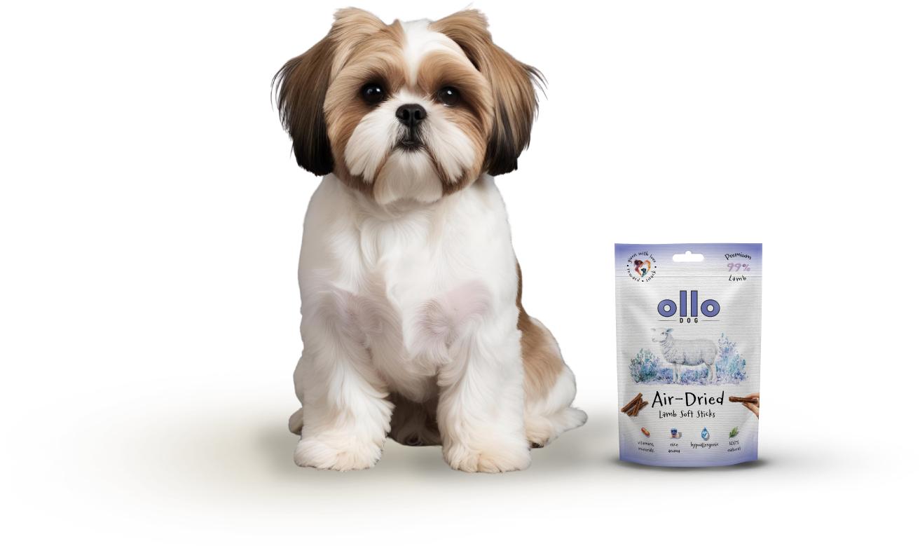 Ollo Air-Dried Lamb Soft Sticks-dog
