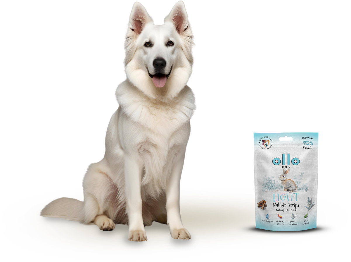 Ollo Air-Dried Light Rabbit Strips-dog