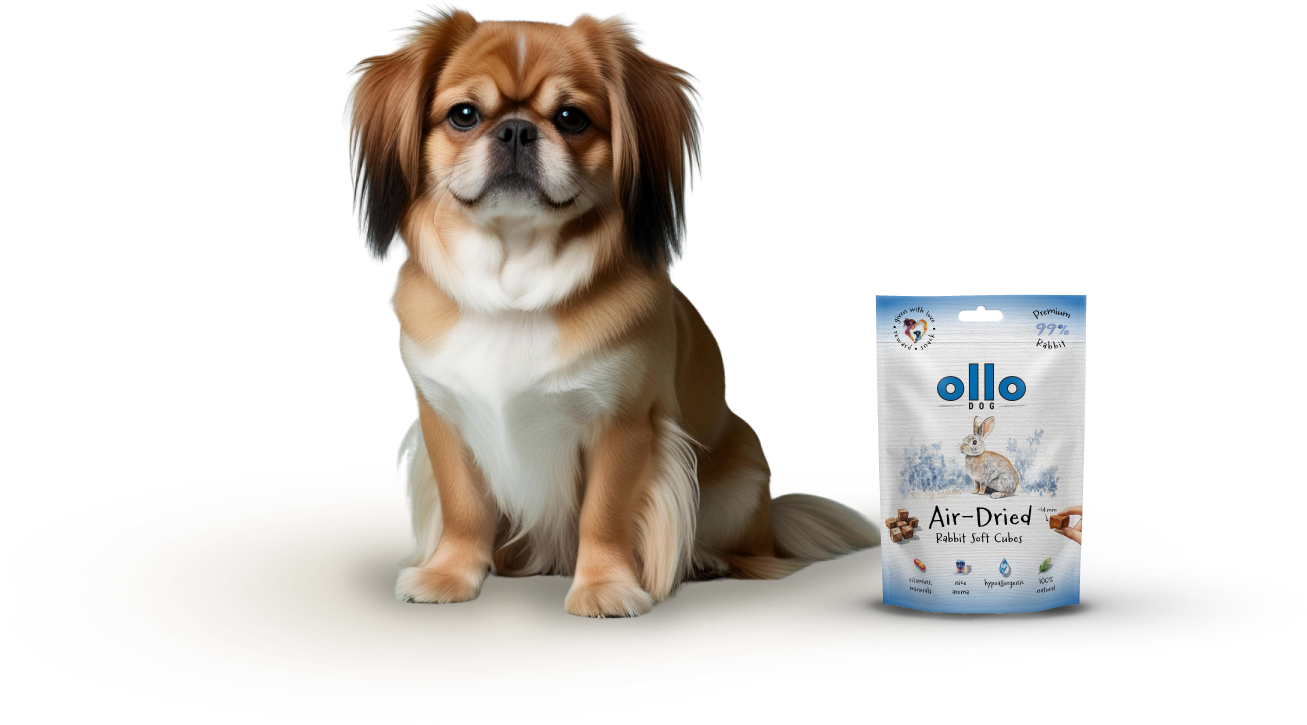 Ollo Air-Dried Rabbit Soft Cubes-dog