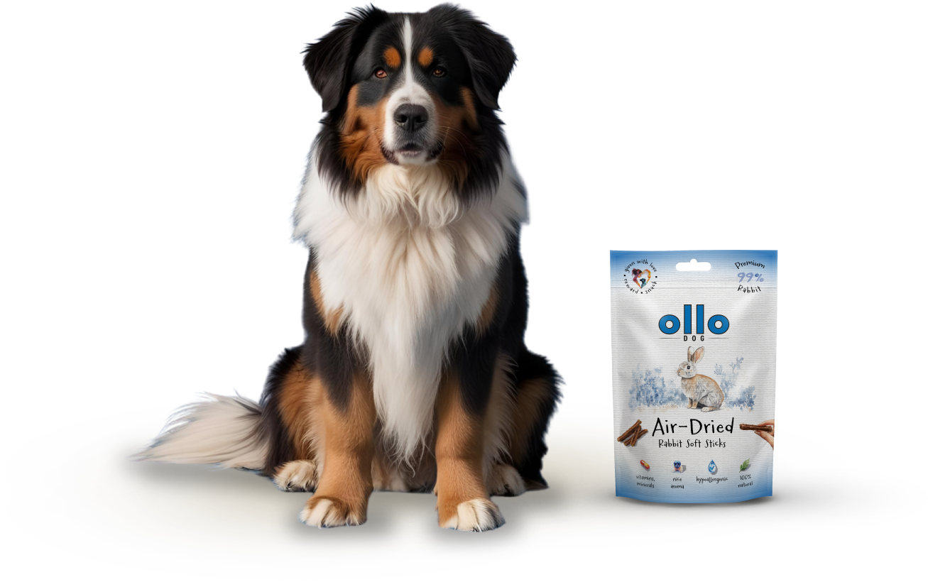 Ollo Air-Dried Rabbit Soft Sticks-dog