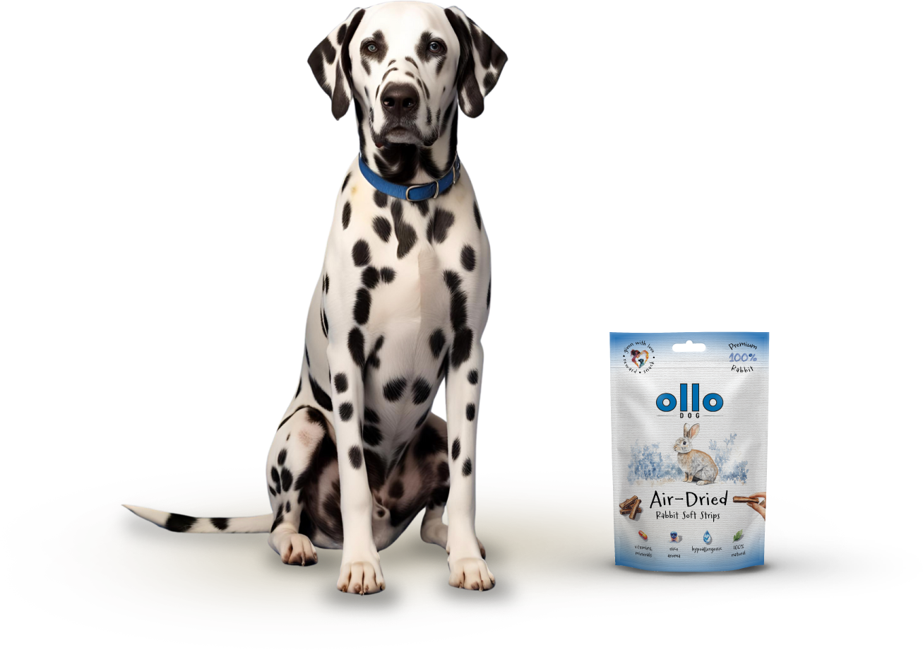 Ollo Air-Dried Rabbit Strips-dog