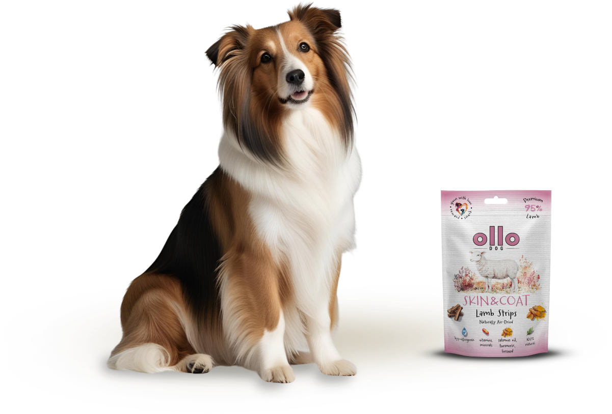 Ollo Air-Dried Skin Coat Lamb Strips-dog