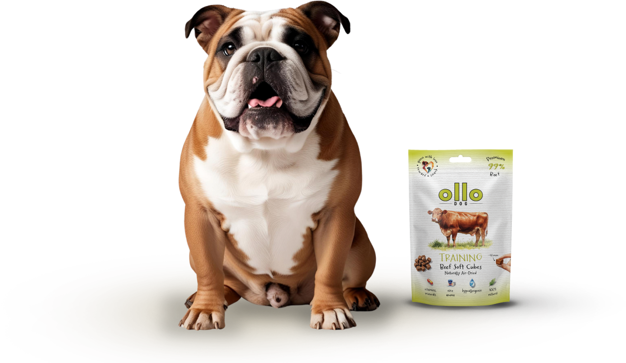 Ollo Air-Dried Training Beef Cubes-dog