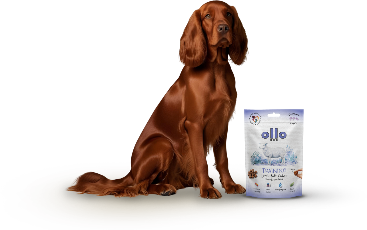 Ollo Air-Dried Training Lamb Soft Cubes-dog
