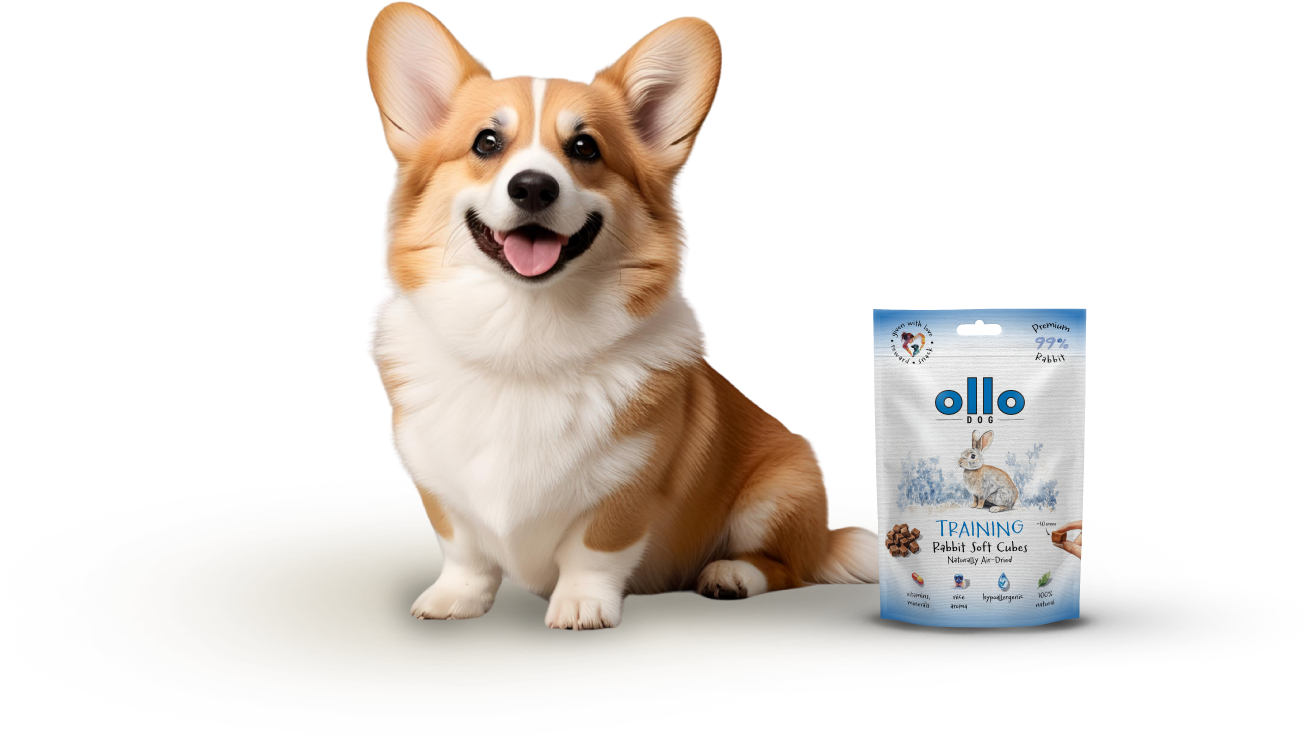 Ollo Air-Dried Training Rabbit Cubes-dog