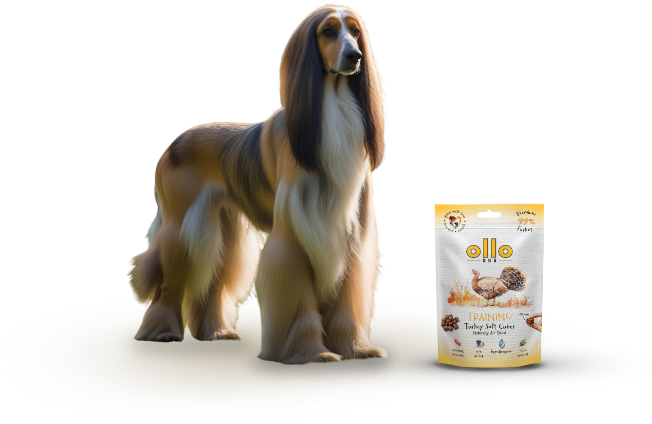 Ollo Air-Dried Training Turkey Soft Cubes-dog