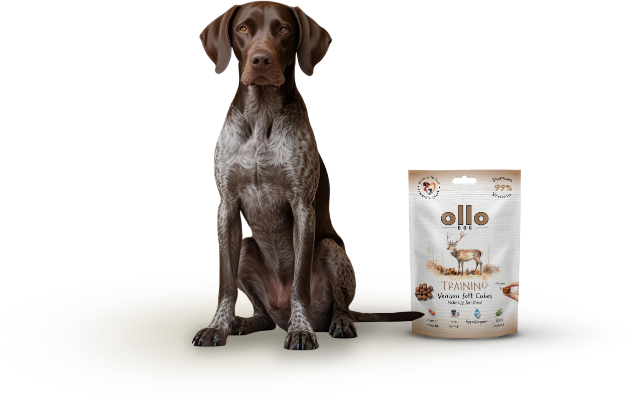 Ollo Air-Dried Training Venison Cubes-dog