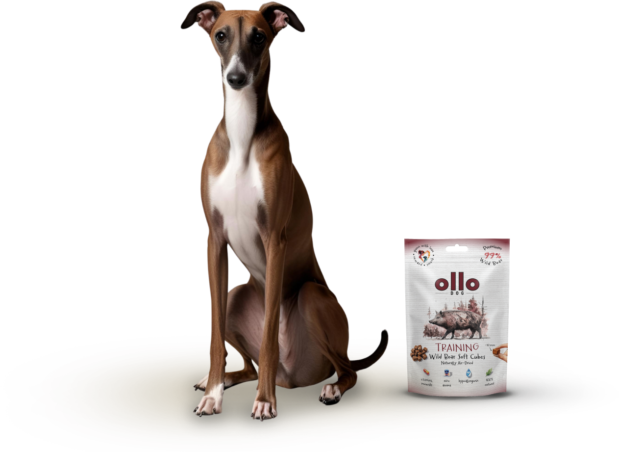 Ollo Air-Dried Training Wild Boar Cubes-dog
