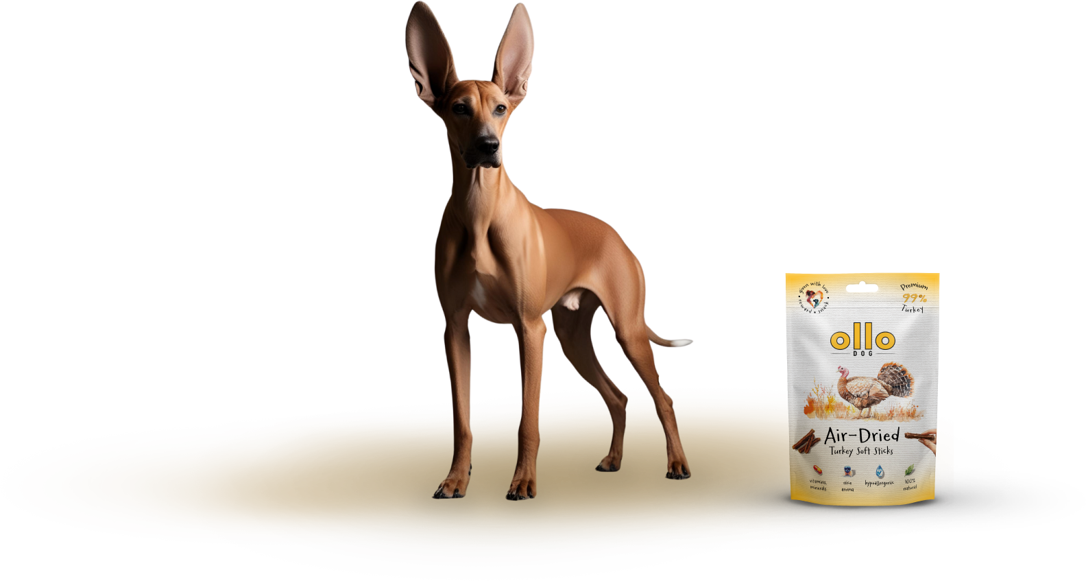 Ollo Air-Dried Turkey Soft Sticks-dog