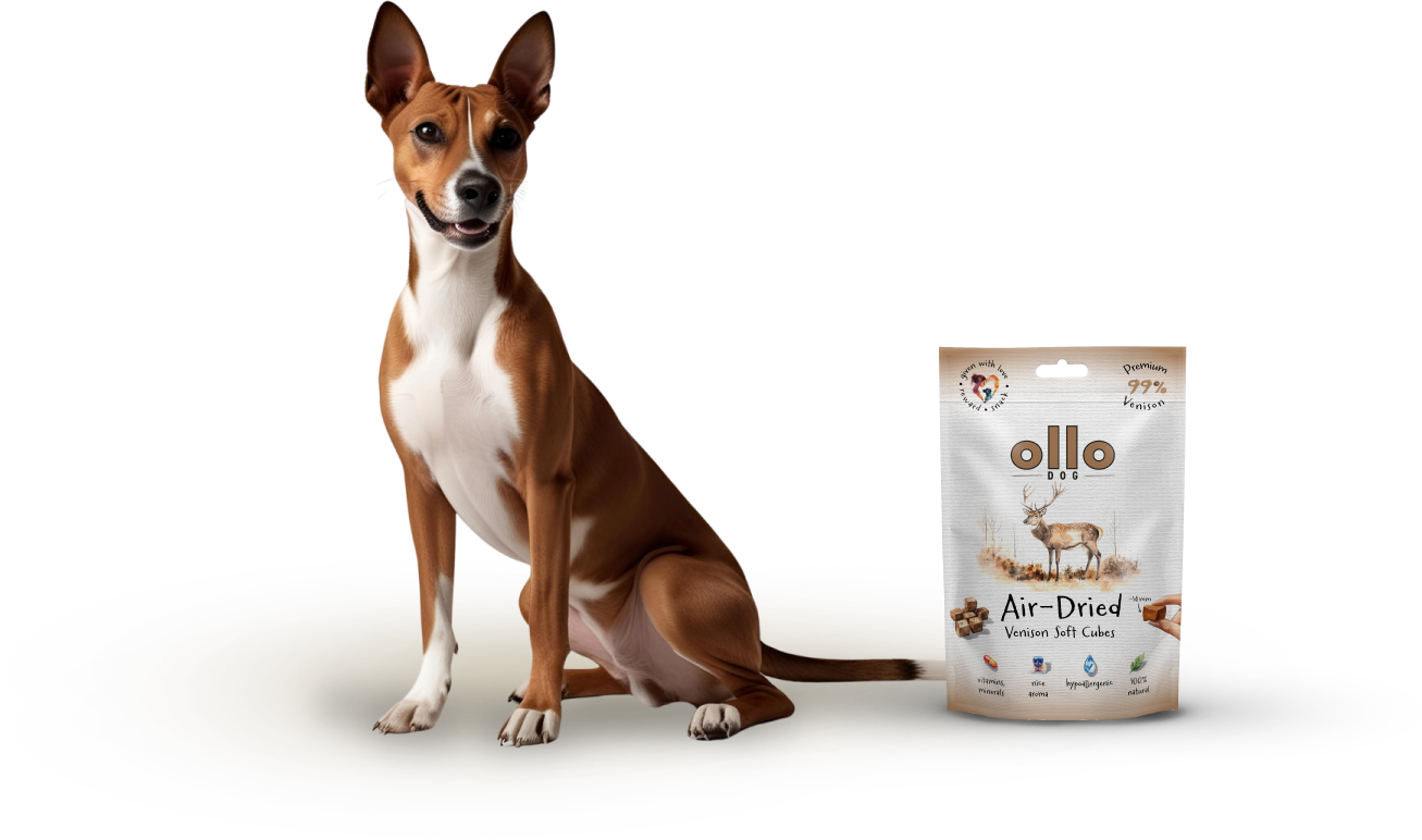 Ollo Air-Dried Venison Soft Cubes-dog