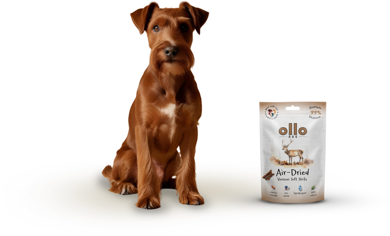 Ollo Air-Dried Venison Soft Sticks-dog