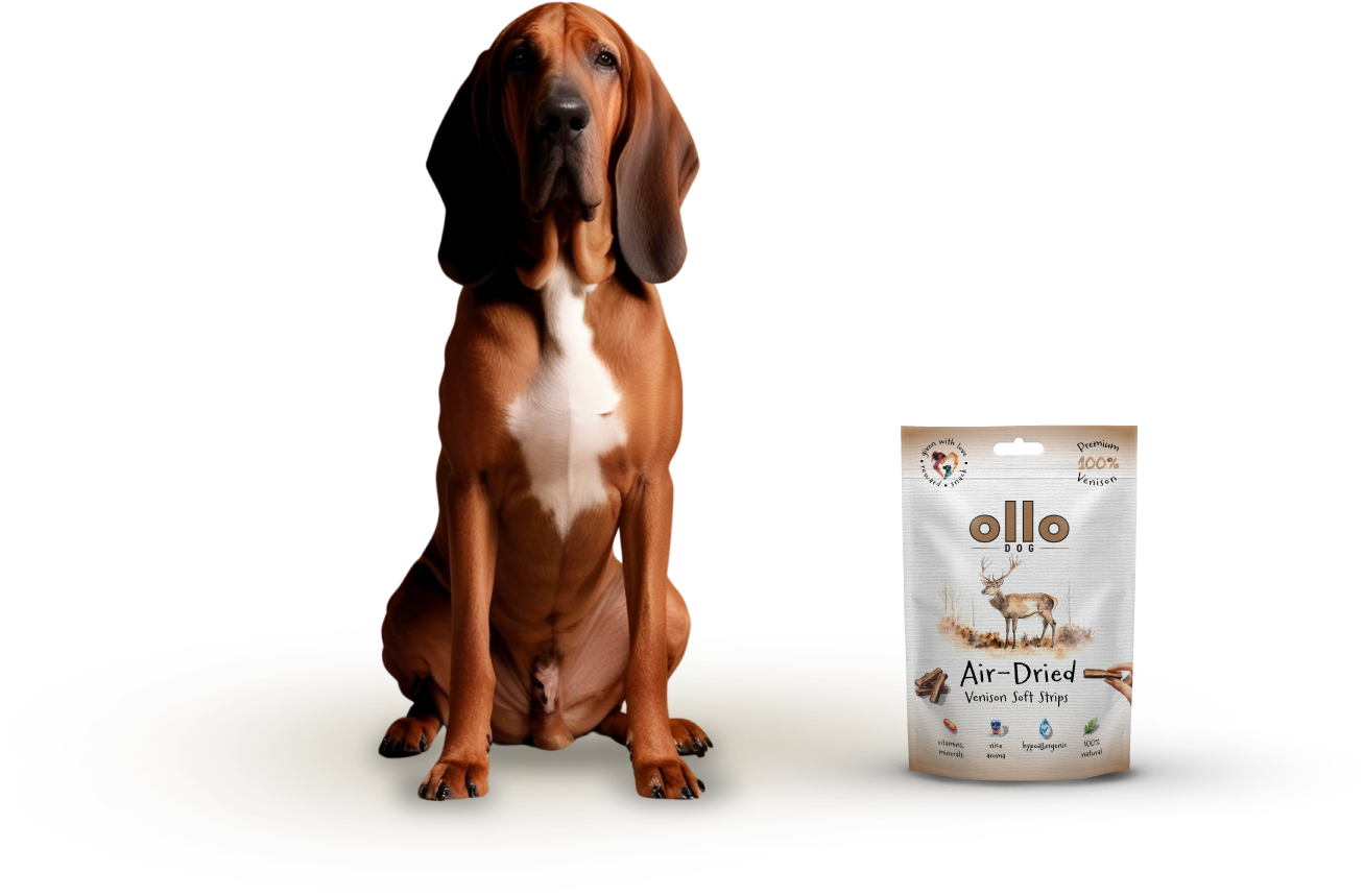 Ollo Air-Dried Venison Strips-dog