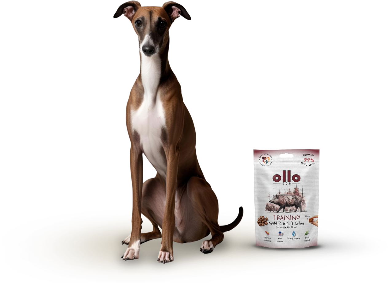 Ollo Air-Dried Wild Boar Soft Cubes-dog