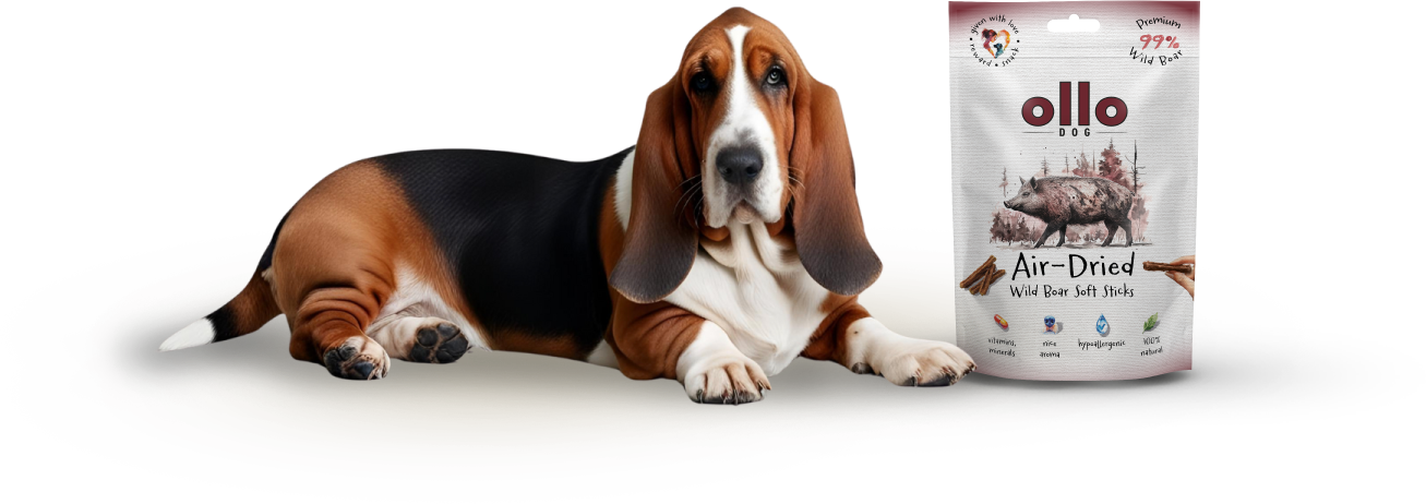 Ollo Air-Dried Wild Boar Soft Sticks-dog